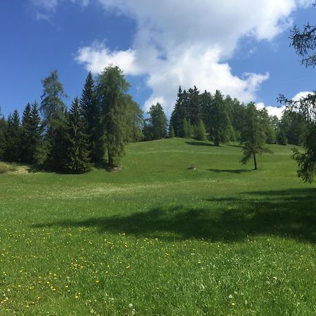 רונצונה Wellness E Resort Stella Delle Alpi מראה חיצוני תמונה
