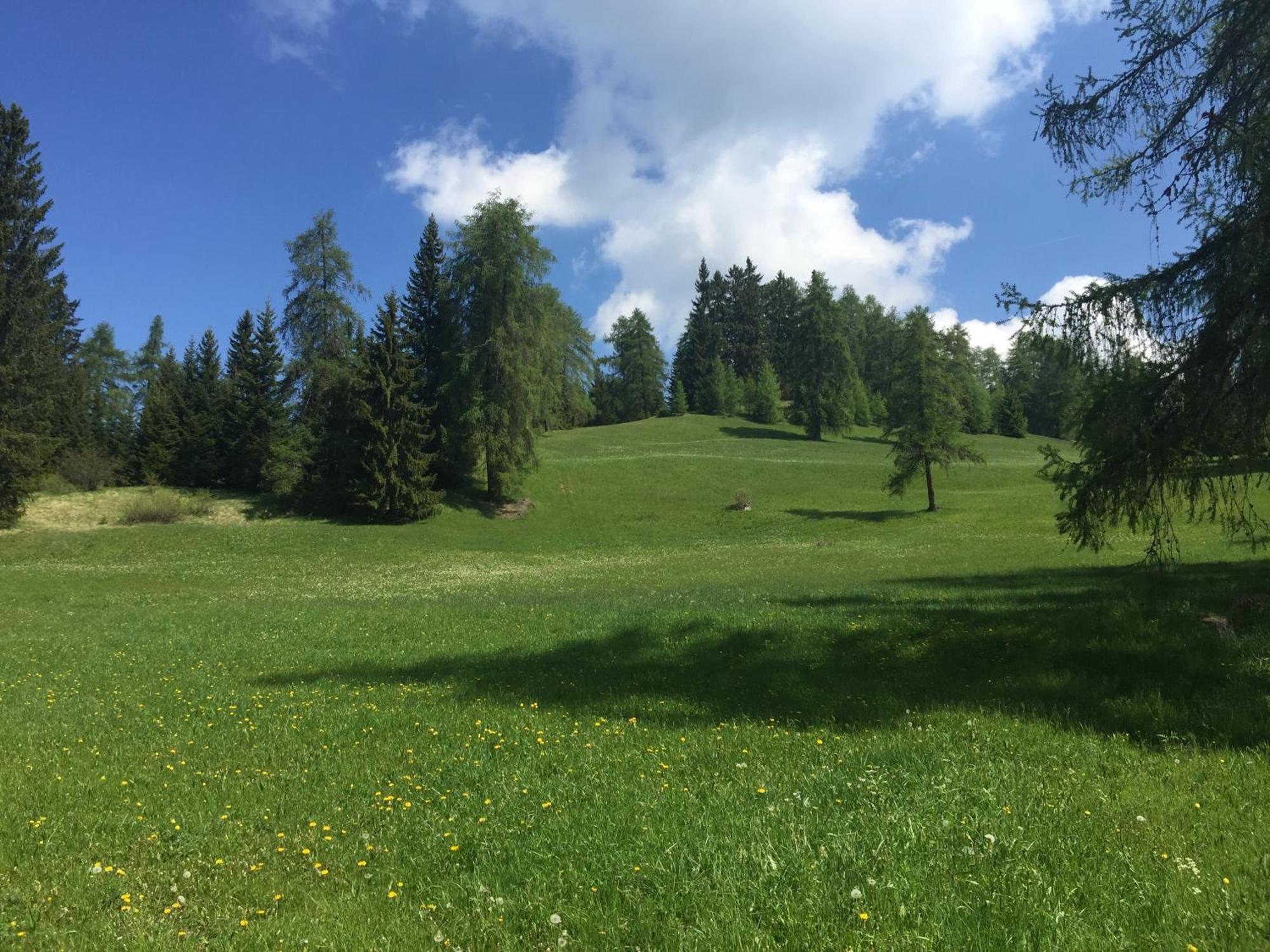 רונצונה Wellness E Resort Stella Delle Alpi מראה חיצוני תמונה